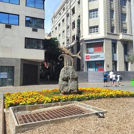 Apartamento En La Mejor Zona De Cruz Апартаменты